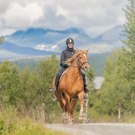 Venabu Fjellhotell Hotel 2*