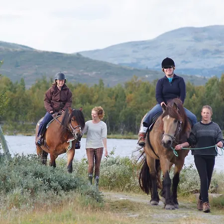 Venabu Fjellhotell Hotel 2*