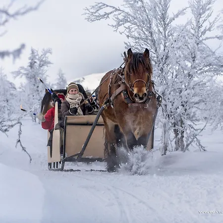Venabu Fjellhotell Ξενοδοχείο 2*