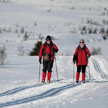 Venabu Fjellhotell Hotel Venabygd