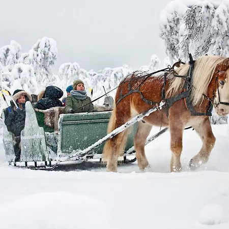 Venabu Fjellhotell 2* Venabygd