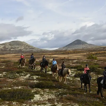Venabu Fjellhotell 2*