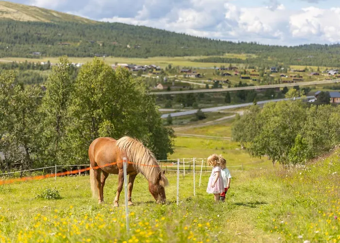 Venabu Fjellhotell Hotel