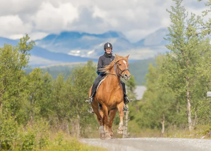 Venabu Fjellhotell Ξενοδοχείο 2*