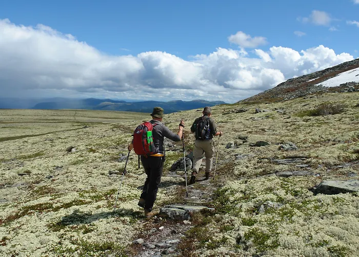 Venabu Fjellhotell 2* Venabygd