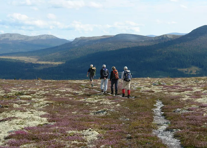 Ξενοδοχείο Venabu Fjellhotell 2*