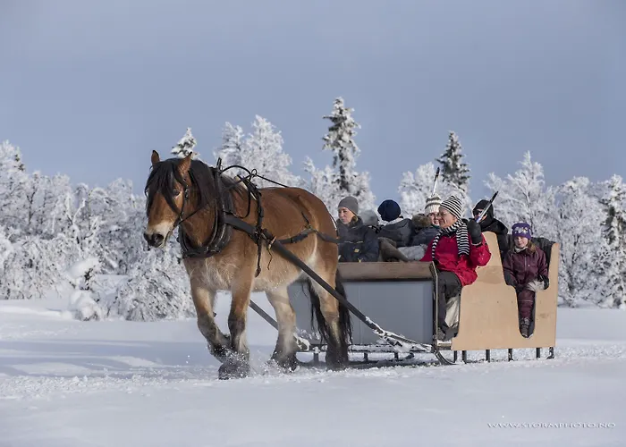 Venabu Fjellhotell 2* Venabygd