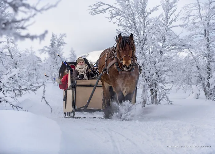 Venabu Fjellhotell Hotel 2*