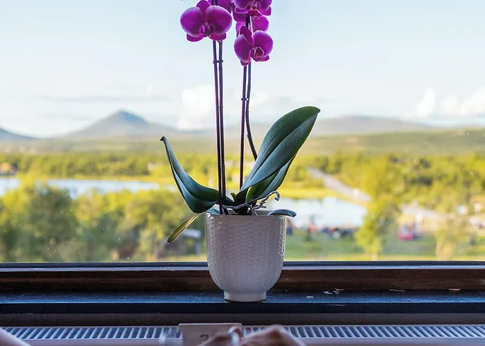 Hotel Venabu Fjellhotell 2*