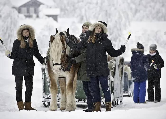 Ξενοδοχείο Venabu Fjellhotell 2*