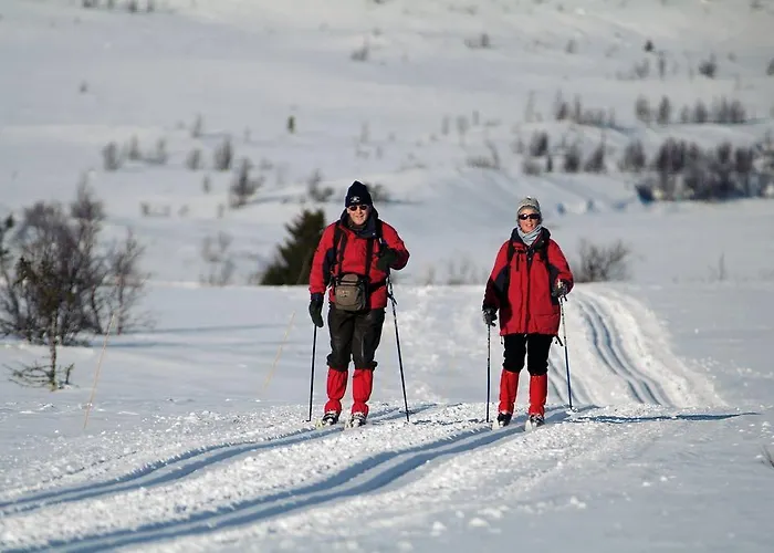Venabu Fjellhotell Hotel Venabygd