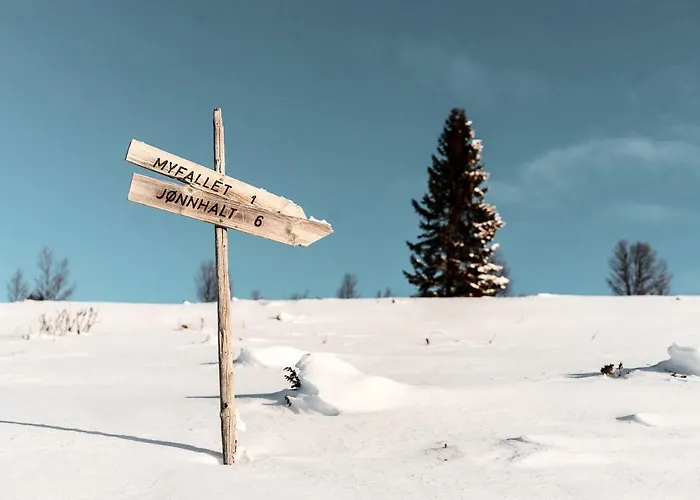 Hotel Venabu Fjellhotell