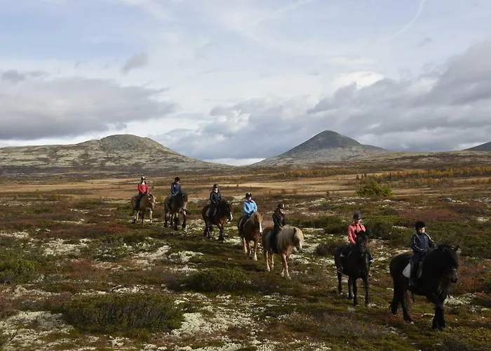 Venabu Fjellhotell 2*