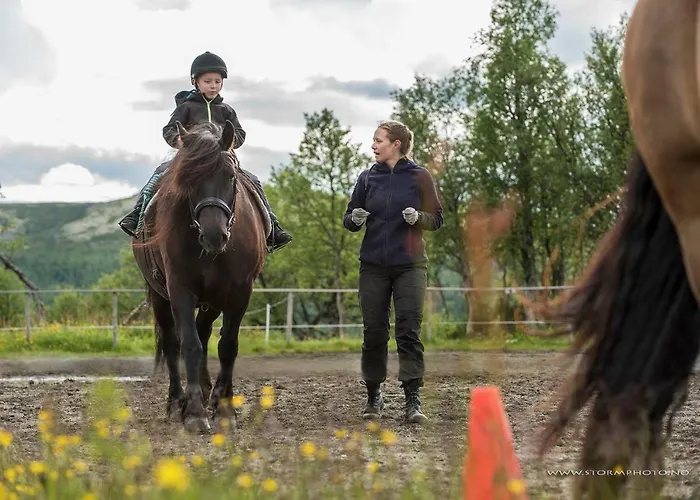 Ξενοδοχείο Venabu Fjellhotell 2*