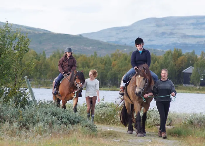 Venabu Fjellhotell Hotel 2*