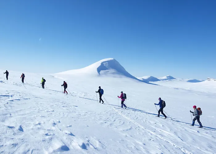 Venabu Fjellhotell Hotel