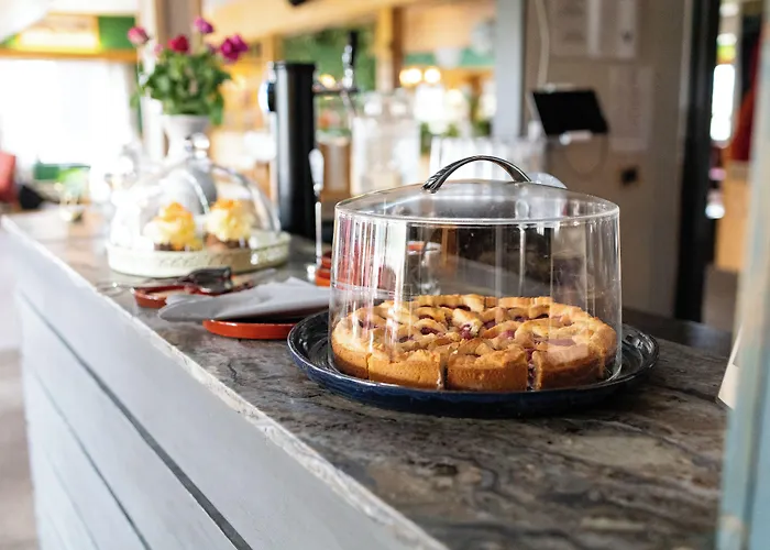 Hotel Venabu Fjellhotell Venabygd